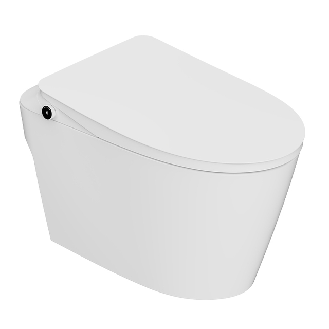 WL-YZ09S-2Q Smart Toilet with Seat Heating And Siphonic Flush