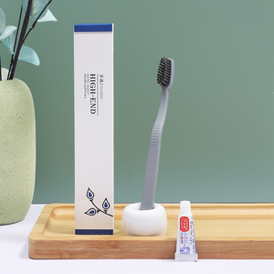 Hotel Disposable Dental Kit Silver Toothbrush with 3g Paste in Tri-Fold Box