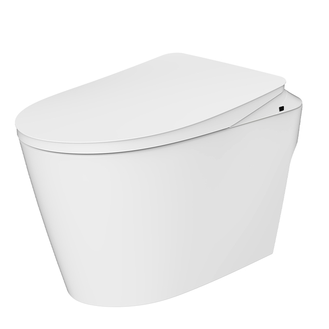 WL-YZ09S-2Q Smart Toilet with Seat Heating And Siphonic Flush