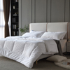 40S Down-proof Fabric Feather Down Cotton 300g Hotel Quilt Core - Mid-range