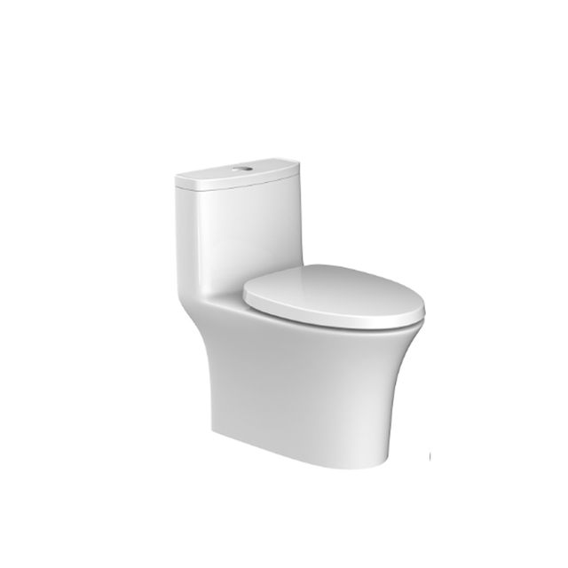 HC0252PT Water Saving One Piece Toilet with Dual Flush System