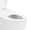 WL-YZ09S-2Q Smart Toilet with Seat Heating And Siphonic Flush