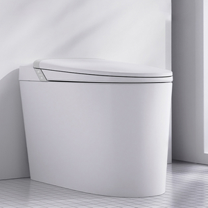  HQ560 Light Smart Toilet with Heated Seat And Auto Flush