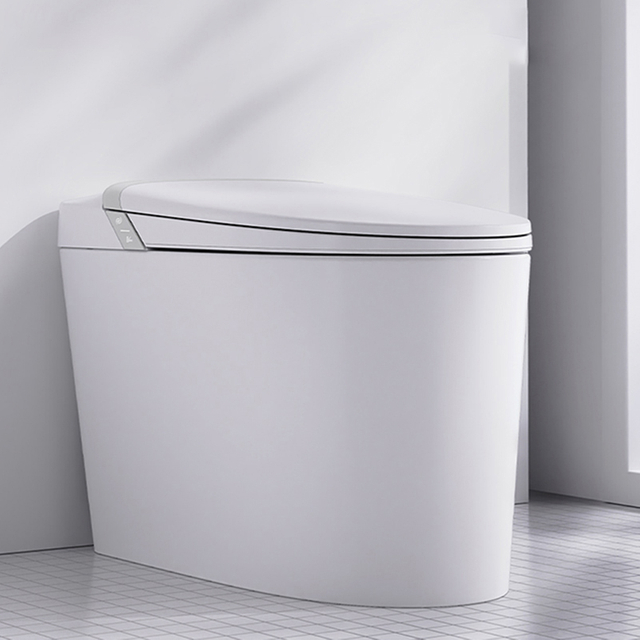  HQ560 Light Smart Toilet with Heated Seat And Auto Flush