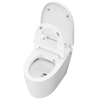 WL-YZ09S-2Q Smart Toilet with Seat Heating And Siphonic Flush