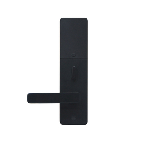 E4421 Black Aluminum Alloy Smart Electronic Door Lock