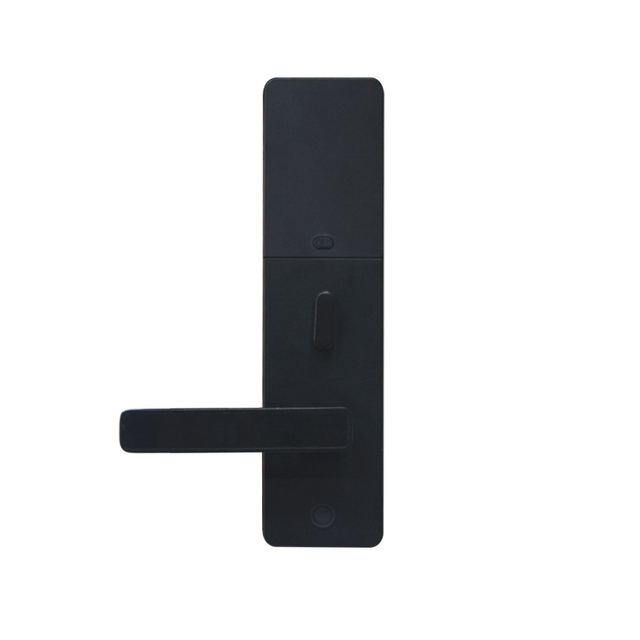 E4421 Black Aluminum Alloy Smart Electronic Door Lock