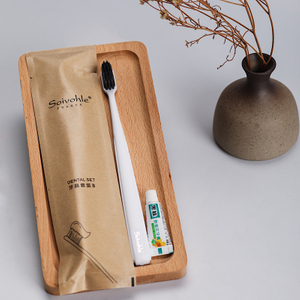 Kraft Paper Bag Disposable Toothbrush Set with 3g Toothpaste 