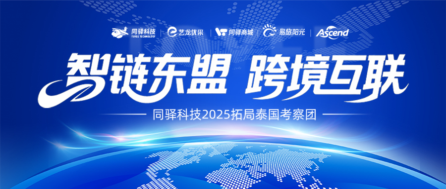 Smart ASEAN Connection, Cross-Border Integration