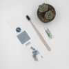 Hotel Toiletries Straw Toothbrush Set with 3g Toothpaste
