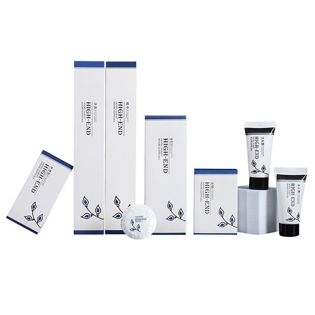 Hotel Disposable Dental Kit Silver Toothbrush with 3g Paste in Tri-Fold Box